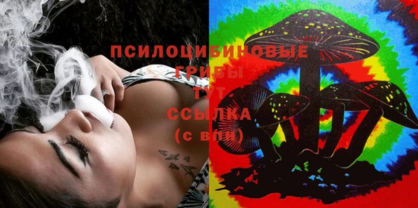 дмт Алзамай