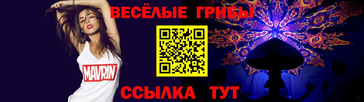 Псилоцибиновые грибы Psilocybine cubensis Избербаш